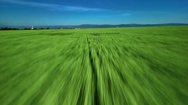 Low altitude drone flight above green grass field during sunny day. Smooth aerial footage showcasing natural landscape, fresh vegetation, countryside environment and peaceful outdoor scenery