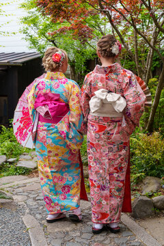 Two women wearing colorful kimonos standing in a garden with their backs facing the camera