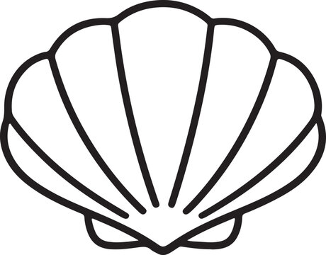 Minimal line seashell icon vector isolated on white background. Simple marine beach symbol.