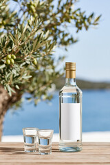 Obraz premium Clear glass bottle with blank label and shot glasses displayed beside an olive tree overlooking the sea