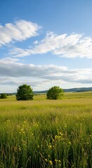 Obraz premium Serene grassland with distant trees under blue sky.