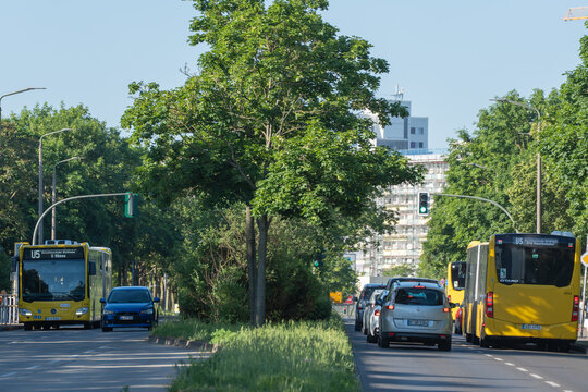 Germany, Berlin, May 28, 2026. Two yellow BVG buses move along a broad Berlin road with summer trees. Cars, traffic lights and grass medians form a calm urban transport view.