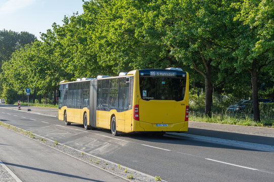 Germany, Berlin, May 28, 2026. A yellow BVG articulated bus on line 195 travels toward S Mahlsdorf. Green deciduous trees and roadside grass create a quiet summer corridor.