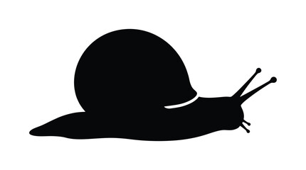 Black Snail Silhouette On White Background Minimalist Graphic Design © MD