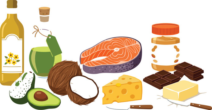Healthy fats and keto diet food ingredients illustration.