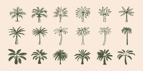 set of hand drawn palm trees in green on beige background illustration © Debashis