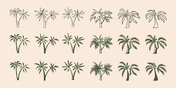 set of hand drawn palm trees in green on beige background illustration