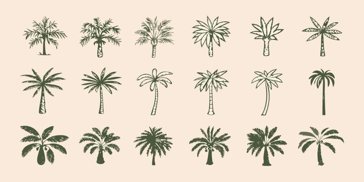 set of hand drawn palm trees in green on beige background illustration