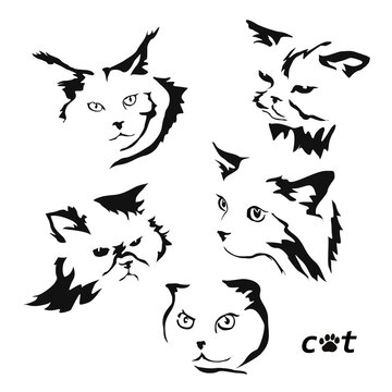 Vector drawing of a cat. Black and white gestalt design of a funny pet. Little kitty. Cute animal illustration. Postcard for International Cat Day. Drawing of an animal in the Gestalt style.