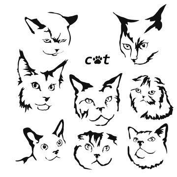 Заголовок	
Vector drawing of a cat. Black and white gestalt design of a funny pet. Little kitty. Cute animal illustration. Postcard for International Cat Day. Drawing of an animal in the Gestalt style