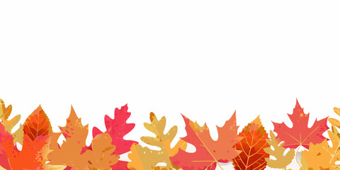 Obraz premium colorful autumn leaves border decoration with white background fall seasonal leaf maple