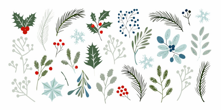 hand drawn winter flora collection on white background holly berries pine leaves