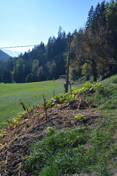 Landscape in south Tirol