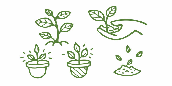 plant life stages depicted in green line art growth seedling sapling pot