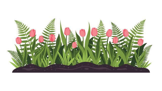 Lush flower bed illustration featuring pink tulips and green fern leaves on a soil base for garden and spring themes.