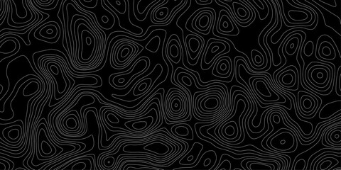 Topographic map background. Grid map. Vector illustration. White topographic map contour lines on black background © Noor