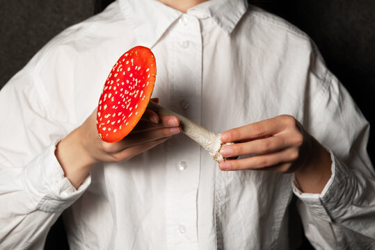 Fly agaric