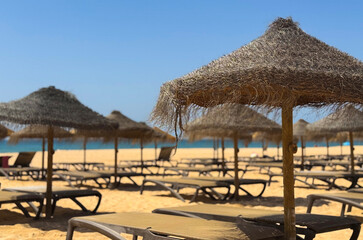 Fototapeta premium Under a clear blue sky, a quiet beach stretches out with umbrellas lined up on the soft sand. 
