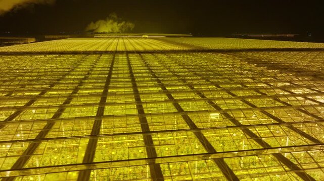 Aerial night panorama of an immense illuminated greenhouse complex, golden grow lights shimmering beneath expansive glass roofs, repeating geometric patterns stretching to the horizon and faint steam