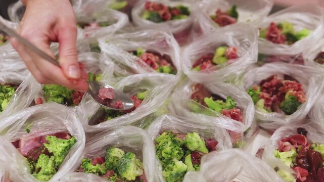 Preparing bowls with Bones And Raw Food diet dog food at home, preparation of natural raw BARF for cats and pets, with ingredients, duck, turkey, offals and vegetables, portions in containers bags 
