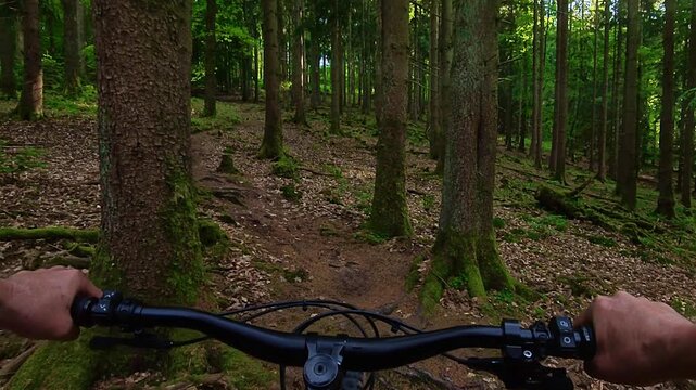 Riding a mountain bike on a dirt trail in a dense forest uphill - e-bike, e-mtb, crosscountry, sport, cycling, fitness, nature, Point of view of hands on handlebars