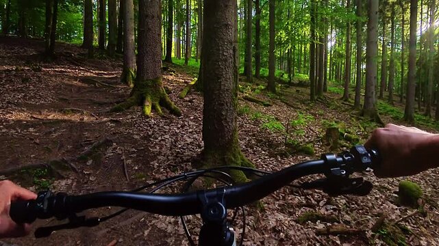 Riding a mountain bike on a dirt trail in a dense forest uphill - e-bike, e-mtb, crosscountry, sport, cycling, fitness, nature, Point of view of hands on handlebars
