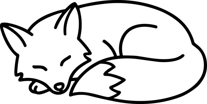 Cute sleeping fox curled up in a ball, simple line drawing, adorable animal illustration