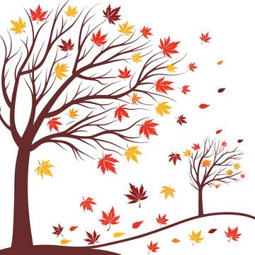 Two autumn trees with falling leaves vector illustration seasonal changing deciduous