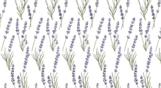 Delicate seamless pattern of purple lavender flowers on long stems with green leaves scattered across a clean white background.