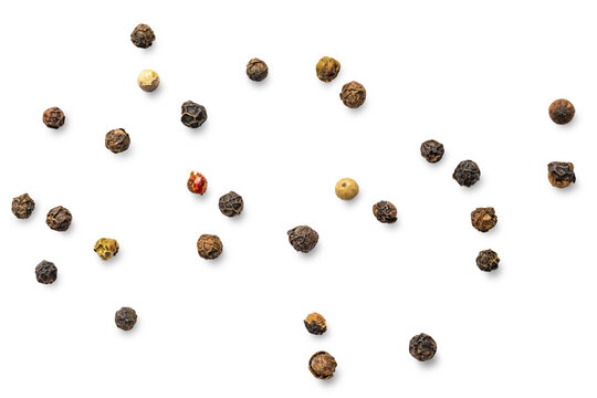 Scattered mixed peppercorns isolated on transparent background