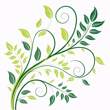 Abstract decorative vine ornament with flowing green leaves and swirls ornament decorative