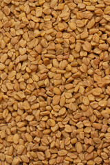 Fototapeta premium Fenugreek seeds texture background natural spice macro