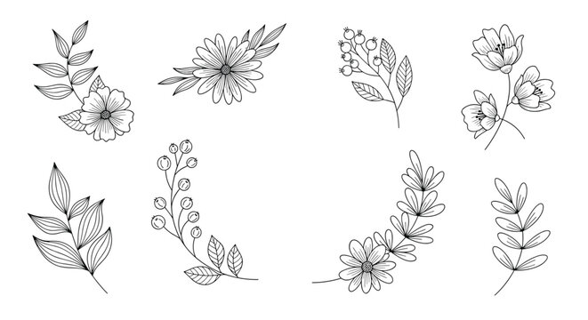 Collection of elegant floral sketches including branches, leaves, berries, and blooming flowers in a delicate black and white line art.