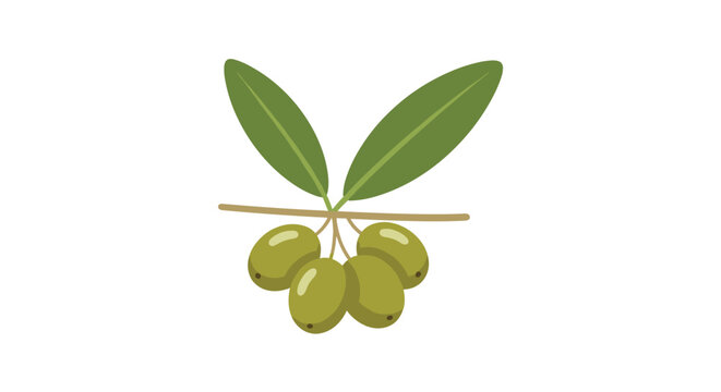 Simple hand drawn illustration of an olive branch with four green olives and two leaves isolated on a plain white background.