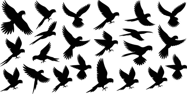 Collection of Black Parrot Silhouettes in Various Flying Poses macaw bird