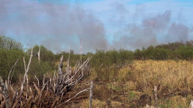 Dry spring. Prairie fires. A drought is coming and dry ditches, dead trees have been left from reservoir. Smoke from wild fires as an indicator of the aridization of the country