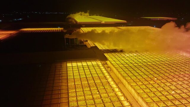 Aerial night view of a vast illuminated greenhouse complex with orange grow lights, glass rooftops, and steam plumes venting from rooftop heating systems across cultivation blocks