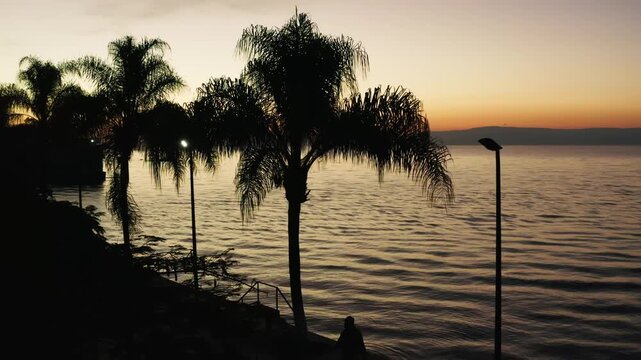 Ajijic Mexico Sunset on Lake Chapala Scenic View Palm Trees Golden Hour Serene Waterfront Jalisco