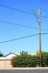 Obraz premium Sunlit suburban street with utility pole, desert plants, and bright blue sky in Phoenix, Arizona