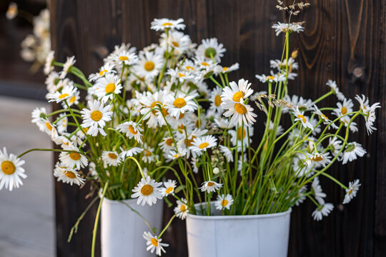 White rubber boots with daisy bouquet. Fresh white daisies arranged in white rubber boots against a dark wooden background, creating a charming rustic floral decoration.
