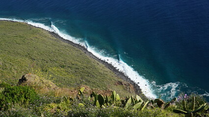 Madeira, Farol da Ponta do Pargo - Ocean shore with cactuses on a steep cliff © SG Photography