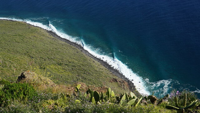 Madeira, Farol da Ponta do Pargo - Ocean shore with cactuses on a steep cliff