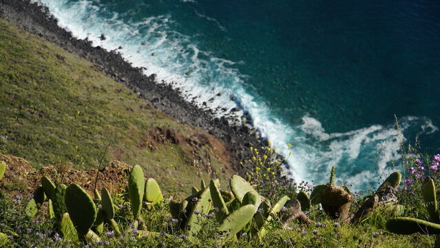 Madeira, Farol da Ponta do Pargo - Ocean shore with cactuses on a steep cliff