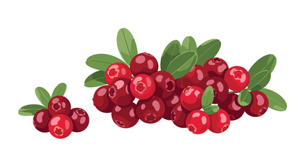 Obraz premium Fresh red cranberries with green leaves isolated on a white background for healthy fruit, nutrition, and forest berry harvest design concepts.