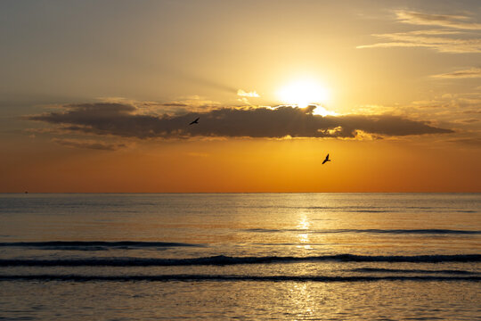 Golden sunrise over calm sea water with sunrays through cloud and bird silhouettes in March. Beautiful marine morning landscape with sun reflection on waves. Cyprus.