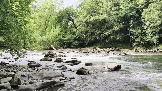 Un r&iacute;o rocoso y r&aacute;pido fluye a trav&eacute;s de un denso bosque verde bajo un cielo nublado. Hay cables de energ&iacute;a visibles en la parte superior derecha.