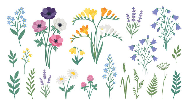 A collection of spring blossoms, stems, and branches arranged, with soft field plants in bloom, featuring botanical accents such as anemones, freesia, and bellflowers, rendered as flat vector