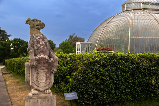 London, UK,Kew garden, A stone statue of the Greyhound of Richmond holding a shield stands in a park near a green hedge. In the background, a large glass dome greenhouse structure rises 