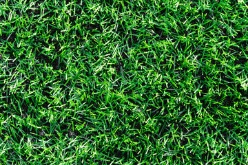 Football artificial green turf field lawn. Top view closeup. © Norexy art