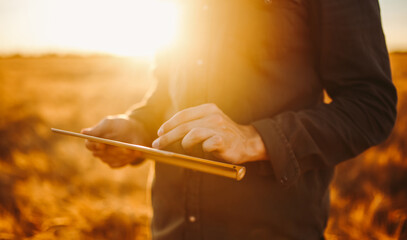 A young man stands with a digital tablet in a golden agricultural field. An experienced farmer works with a digital tablet at sunset. Concepts of farming, smart farming, and agriculture. © maxbelchenko